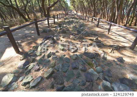 蒙古入侵防禦城牆 (今津地區) (生之松原地區) 鎌倉時代遺址 124129749