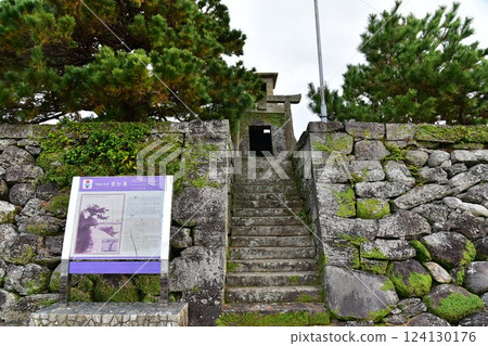富江島床頭花 124130176