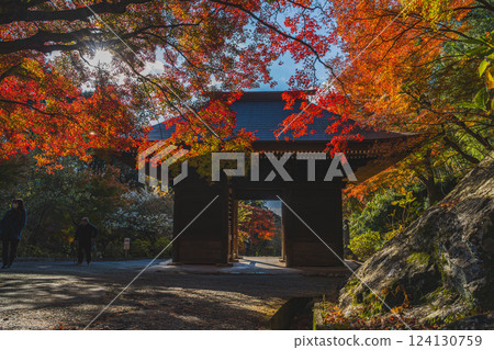 被秋葉環繞的愛知縣豐橋市普門寺仁王門 124130759