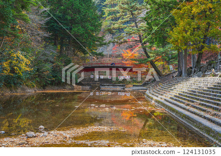 新城市(愛知縣)愛知縣立森林的紅葉風景 新城市(愛知縣)愛知縣立森林的紅葉風景 124131035