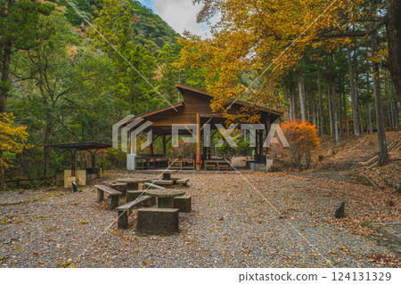 Autumn foliage at Aichi Prefectural Forest in Shinshiro City (Aichi Prefecture) 124131329
