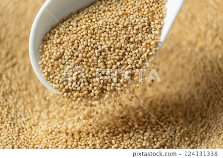 Organic amaranth grains spilling out of spoon close-up. 124131338