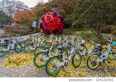 Seoul Public Bike, Ttareungyi, un-manned rental system of bicycles in Seoul, capital of South Korea Seoul Public Bike, Ttareungyi, un-manned rental system of bicycles in Seoul, capital of South Korea 124131401