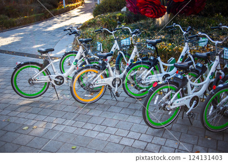 Seoul Public Bike, Ttareungyi, un-manned rental system of bicycles in Seoul, capital of South Korea 124131403