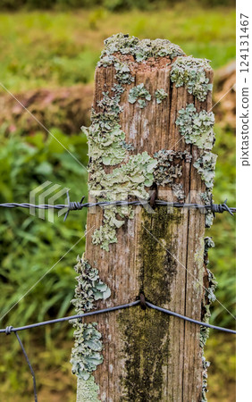 fence post wires 124131467