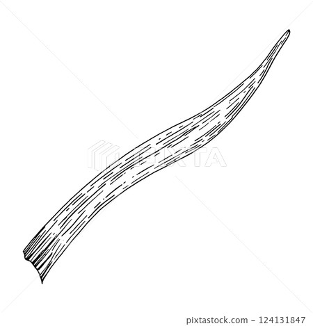 Ink drawing of a single curved leaf, isolated on a black background. Ideal for botanical illustrations, floral compositions, nature designs, and elegant decorative art. Great for branding and Ink drawing of a single curved leaf, isolated on a black background. Ideal for botanical illustrations, floral compositions, nature designs, and elegant decorative art. Great for branding and 124131847