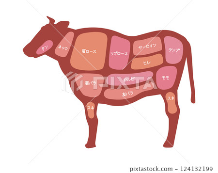 Illustrated illustration of beef cuts 124132199