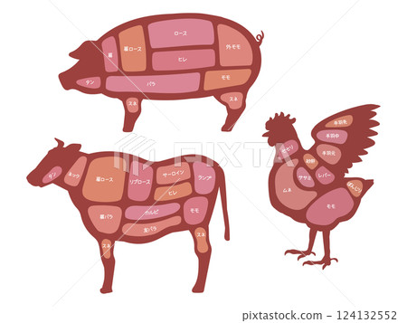 肉各部位插圖 肉各部位插圖 124132552