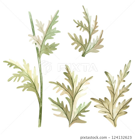 Poppy, leaves, green, petal, bud watercolor set illustration isolated background, wedding, greeting, invitation card Poppy, leaves, green, petal, bud watercolor set illustration isolated background, wedding, greeting, invitation card 124132623