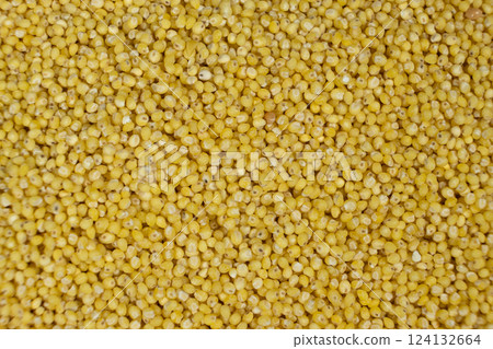 Whole millet grains top view macro 124132664