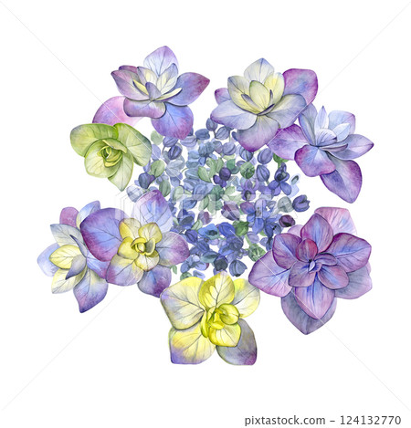 Watercolor of pink purple hydrangea flower. Hand-painted on a white background. Good for postcards, invitations, greeting cards. Watercolor of pink purple hydrangea flower. Hand-painted on a white background. Good for postcards, invitations, greeting cards. 124132770