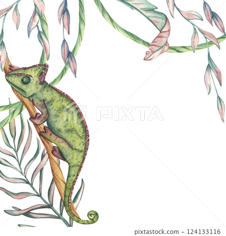Watercolor illustration of green chameleon on a branch with space for text. Exotic African animal isolated on white background. Frame with space for text. Tropical template for design of cards 124133116