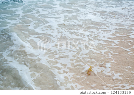 Embrace the serenity of gentle waves washing over a sandy shore 124133159