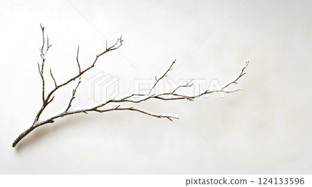 Bare snowy branch lying on white background symbolizing winter 124133596
