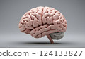 A detailed 3D rendering of a human brain, showcasing its complex structure and texture. The pinkish-beige tones highlight the organic feel, while subtle shadows add depth and realism.  124133827