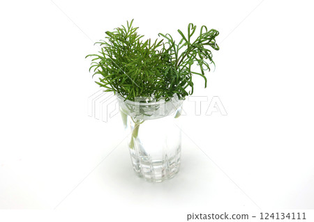 Dale in a glass on a white background Dale in a glass on a white background 124134111