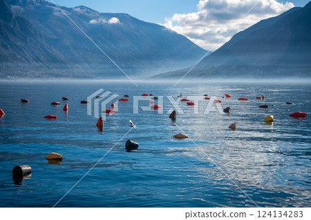 Panoramic view of Kotor Bay with oyster farms in winter morning, Montenegro 124134283