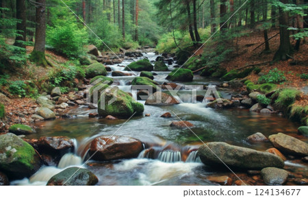 The ripples of time: the eternal path of water through rapids and rocks 124134677