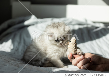 Adorable fluffy kitten playing with a soft toy mouse, capturing a heartwarming moment of joy and innocence in a cozy, sunlit bedroom setting on a comfy bed. 124135012