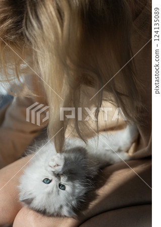 Adorable Kitten Playfully Interacting with Human Hair in a Cozy Indoor Setting Bathed in Natural Light Adorable Kitten Playfully Interacting with Human Hair in a Cozy Indoor Setting Bathed in Natural Light 124135089