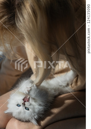 Adorable White Kitten Playfully Tugging at a Person's Hair in a Sunlit Room: A Heartwarming Moment Captured in a Cozy Setting Adorable White Kitten Playfully Tugging at a Person's Hair in a Sunlit Room: A Heartwarming Moment Captured in a Cozy Setting 124135090
