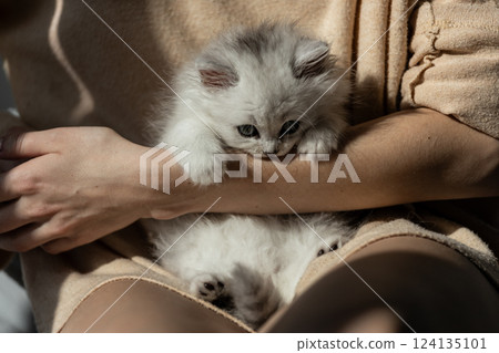 Adorable Fluffy Kitten Cuddled in Human Arms in a Cozy Indoor Setting; A Moment of Pure Affection and Warmth Depicted with Natural Light Touching Its Soft Fur Adorable Fluffy Kitten Cuddled in Human Arms in a Cozy Indoor Setting; A Moment of Pure Affection and Warmth Depicted with Natural Light Touching Its Soft Fur 124135101