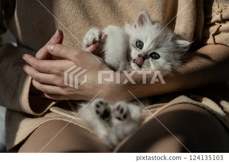 Adorable Persian Kitten Nestled in Warm Embrace: A Heartwarming Display of Affection and Cuteness Captured in Beautiful Morning Light 124135103