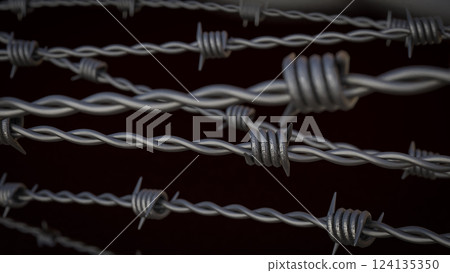 The Steel barbed wire for security or war concept 3d Rendering 124135350