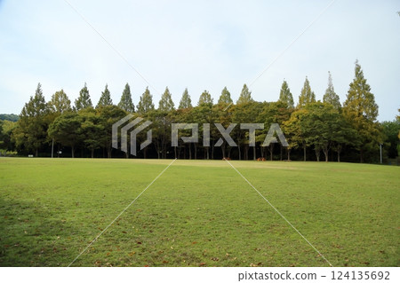 Autumn park: A forest of colorful trees 124135692