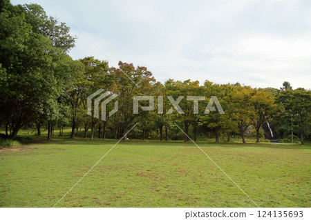 Autumn park 124135693
