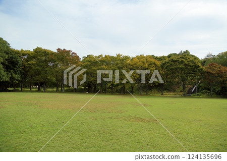 Autumn park Autumn park 124135696