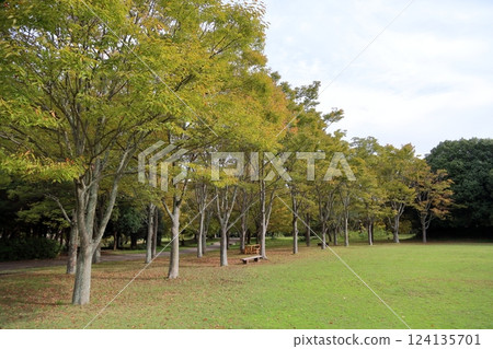 秋天的公園 秋天的公園 124135701