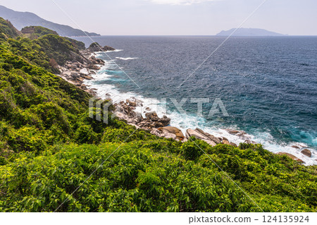 東海及近海阿爾卑斯山的口永良部島、屋久島(春季) 東海及近海阿爾卑斯山的口永良部島、屋久島(春季) 124135924