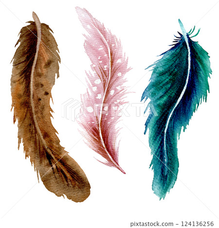 Tree watercolor feathers brown, pink and emerald green color set Tree watercolor feathers brown, pink and emerald green color set 124136256