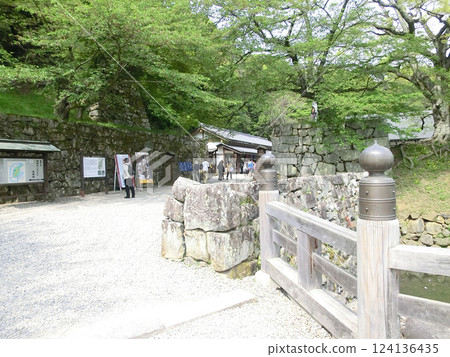 Hikone Castle (Omotemon Bridge, Hikone City, Shiga Prefecture) 124136435
