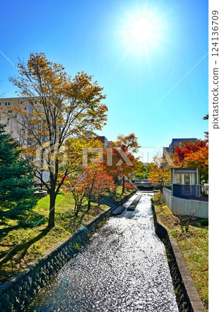 Autumn leaves at Soseigawa Park in Sapporo 124136709