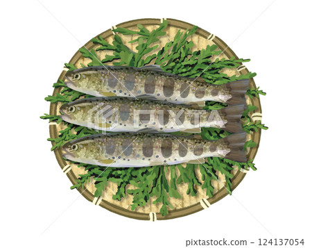 Yamame trout (with colander and cypress leaves) Yamame trout (with colander and cypress leaves) 124137054