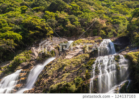 Yakushima National Park, Japan's 100 Best Waterfalls, Okawa Falls, Roaring Sound and Fresh Greenery Yakushima National Park, Japan's 100 Best Waterfalls, Okawa Falls, Roaring Sound and Fresh Greenery 124137103