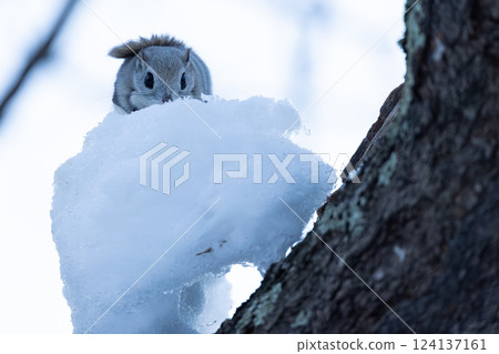 Ezomomonga Ezomomonga 124137161