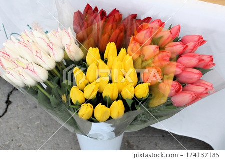 A Stunningly Beautiful Bouquet of Colorful Tulips Perfect for Any Special Occasion 124137185