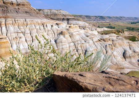 Canyon in badlands with eroded formations on the hills in summer. 124137471