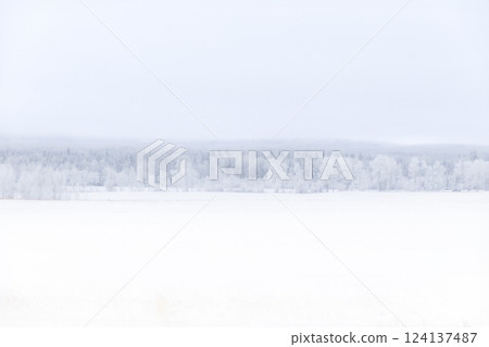 White winter landscape in prairies with field and trees in snow. 124137487