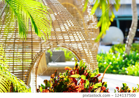 Egg-shaped cozy wicker lounge bed in a tropical garden Egg-shaped cozy wicker lounge bed in a tropical garden 124137500
