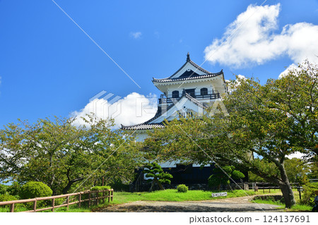 Tateyama Castle 124137691