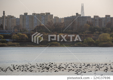 View of Han river Hangang and urban cityscape of Seoul, capital of South Korea 124137696