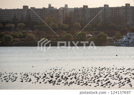 View of Han river Hangang and urban cityscape of Seoul, capital of South Korea 124137697