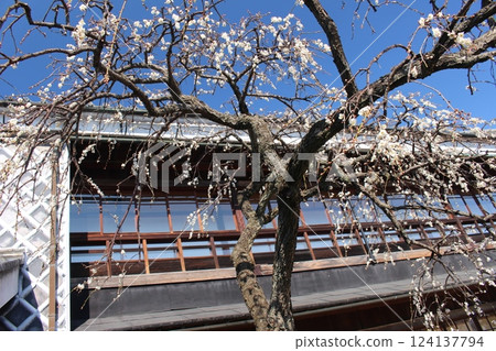 Okabe Memorial Museum Kinreiso Okabe Memorial Museum Kinreiso 124137794