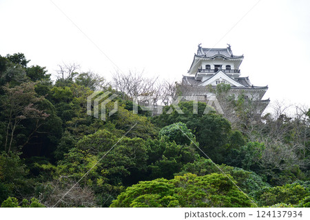 Tateyama Castle 124137934