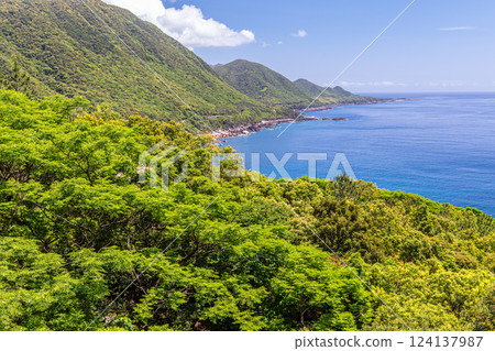 森林與海交相輝映，新綠盎然的世界自然遺產屋久島 124137987