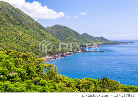 森林與海交相輝映，新綠盎然的世界自然遺產屋久島 124137988